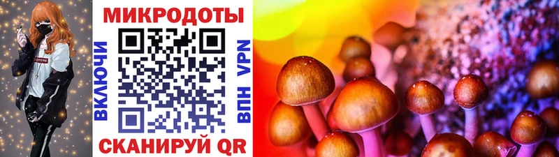 Псилоцибиновые грибы GOLDEN TEACHER  Рязань 